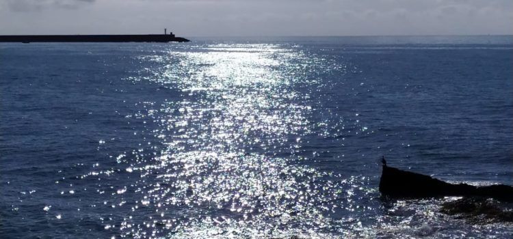 El “parte” del temps: sol i sépies