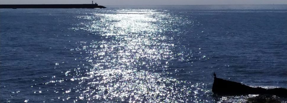 El “parte” del temps: sol i sépies