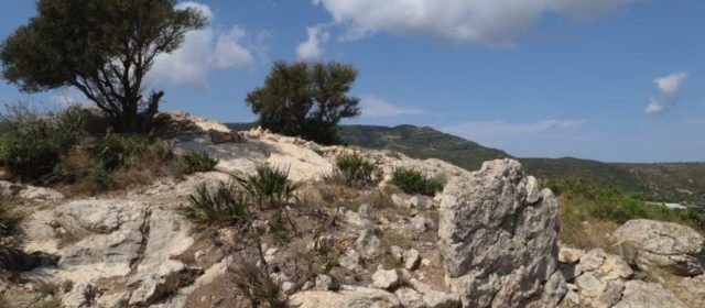 Descobertes una plataforma empedrada i una muralla defensiva monumental al jaciment de l’Antic d’Amposta