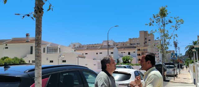 Peníscola destina més de 10.000€ a plantar arbrat