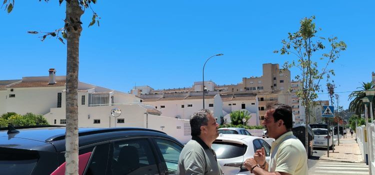 Peníscola destina més de 10.000€ a plantar arbrat