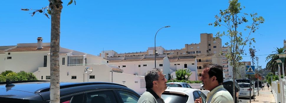 Peníscola destina més de 10.000€ a plantar arbrat
