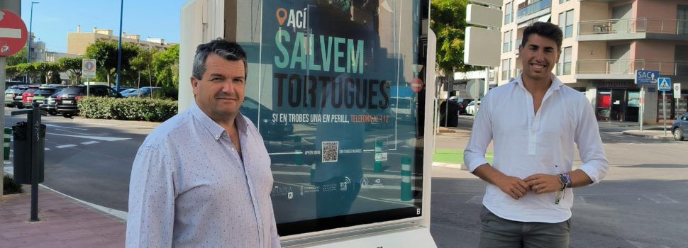 Peníscola se suma, un nou any, a la campanya de sensibilització “Tortugues al Mediterrani”
