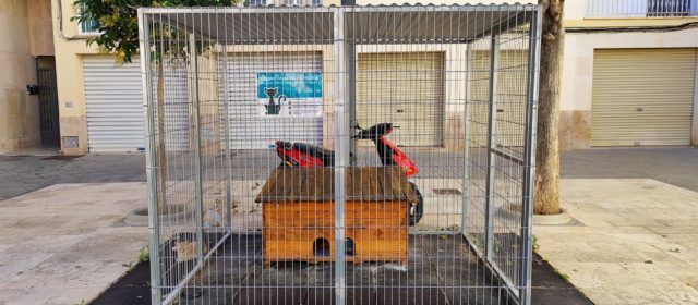 Un letrado de Barcelona se implica en salvar la colonia de gatos de la calle Andorra