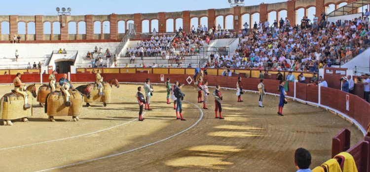 Galería de fotos de la passada novillada a Vinaròs