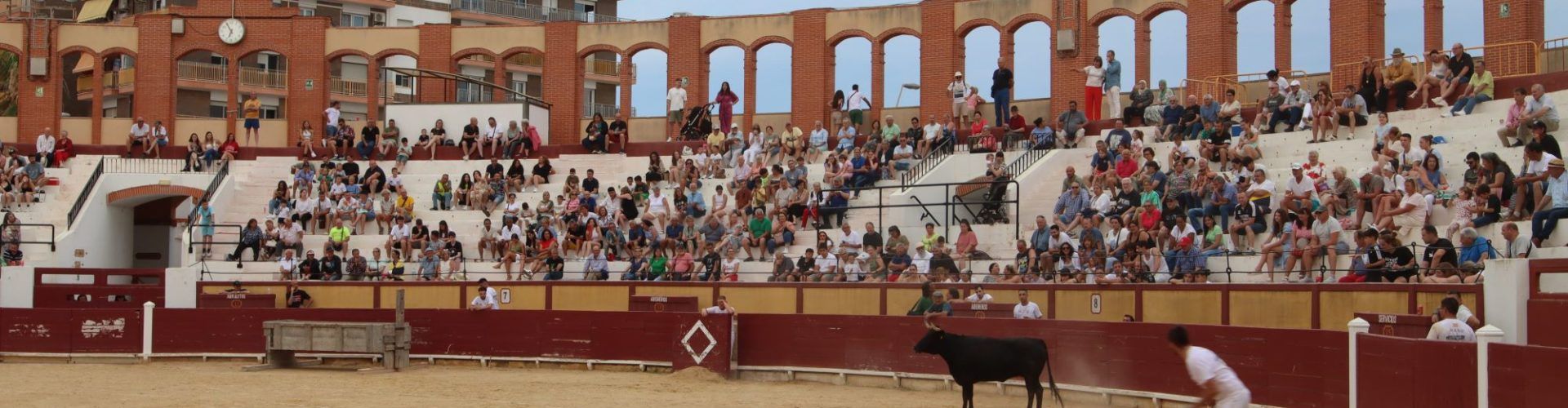 Valoración positiva de la Peña Taurina Pan y Toros de sus actos de fiestas