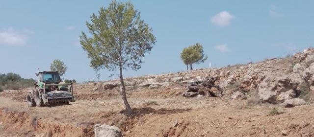 L’Ajuntament de Peníscola executa nous treballs per a la mitigació del risc d’incendis forestals