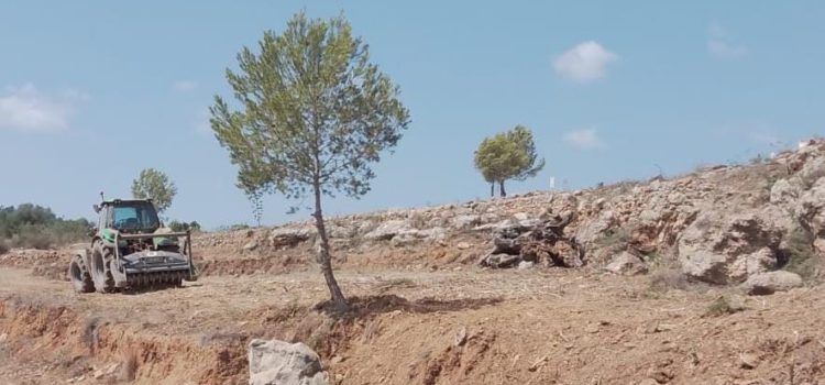 L’Ajuntament de Peníscola executa nous treballs per a la mitigació del risc d’incendis forestals