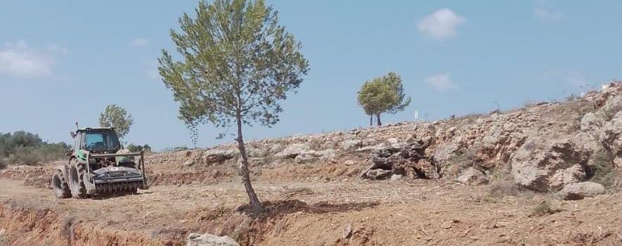 L’Ajuntament de Peníscola executa nous treballs per a la mitigació del risc d’incendis forestals