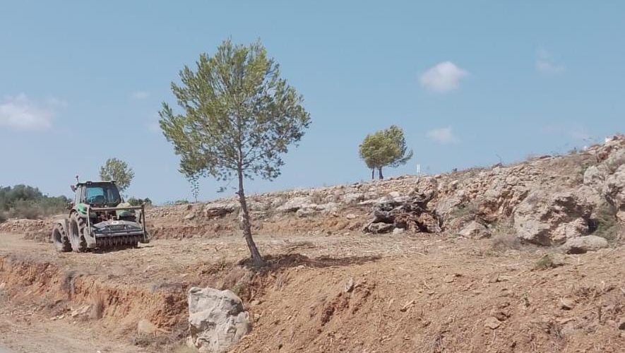 L’Ajuntament de Peníscola executa nous treballs per a la mitigació del risc d’incendis forestals