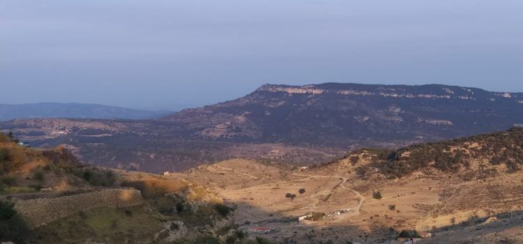 El “parte” del temps: lo terral ha bufat amb prou ganes