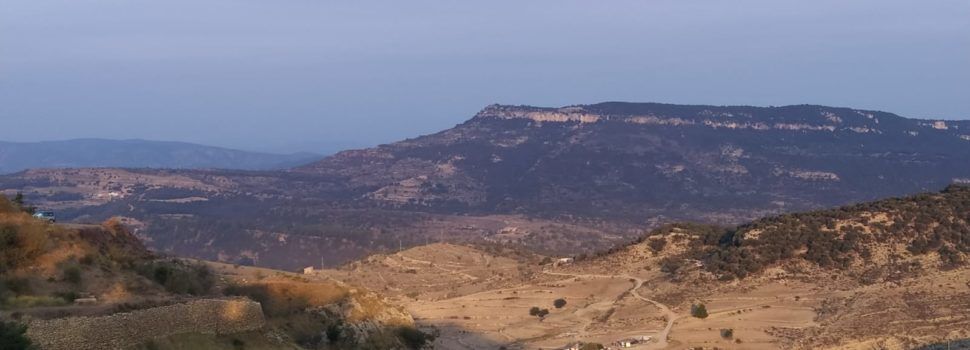 El “parte” del temps: lo terral ha bufat amb prou ganes