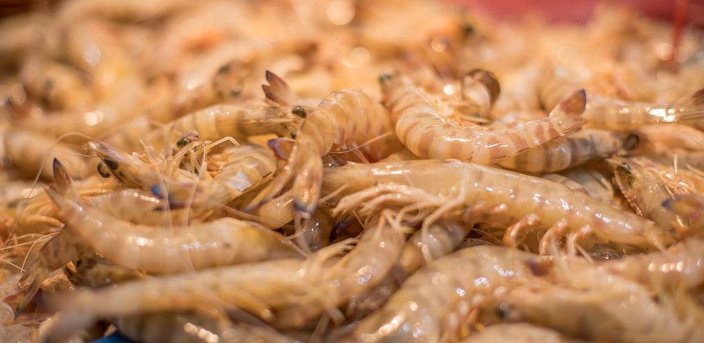L’Ajuntament adjudica l’elaboració d’un Pla Director de Turisme Gastronòmic 2024-2027