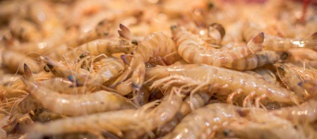 L’Ajuntament adjudica l’elaboració d’un Pla Director de Turisme Gastronòmic 2024-2027