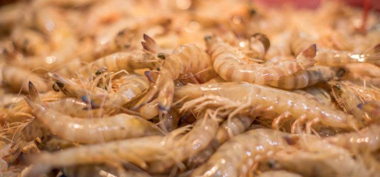 L’Ajuntament adjudica l’elaboració d’un Pla Director de Turisme Gastronòmic 2024-2027