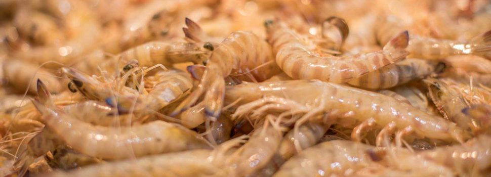 L’Ajuntament adjudica l’elaboració d’un Pla Director de Turisme Gastronòmic 2024-2027