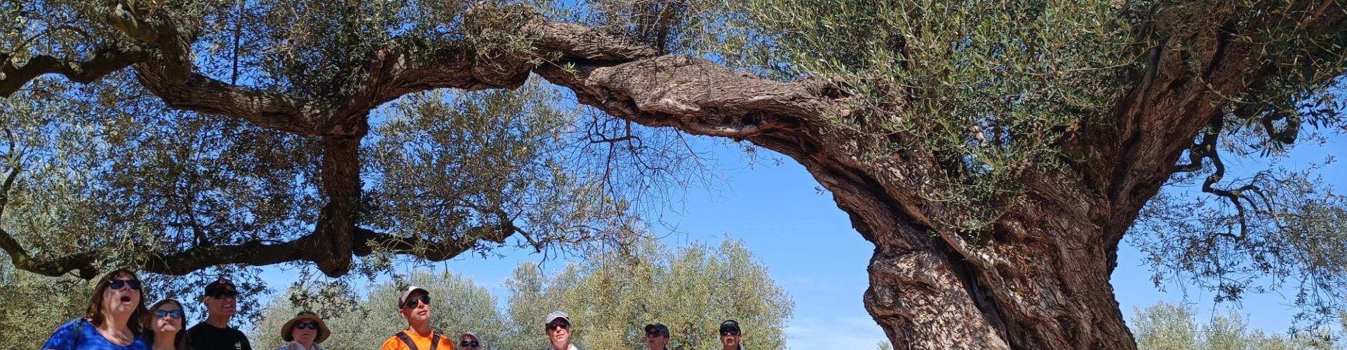 La programació de ‘L’ESTIU Cultural’ de Canet lo Roig registra una bona participació