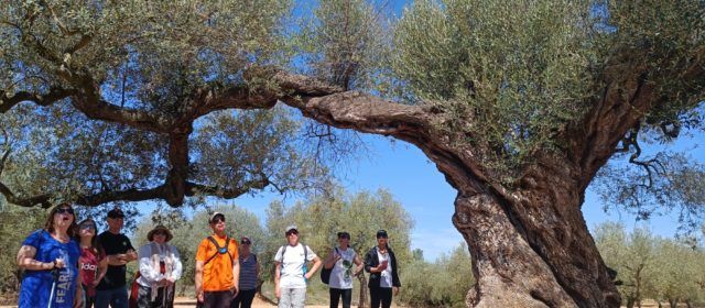 La programació de ‘L’ESTIU Cultural’ de Canet lo Roig registra una bona participació
