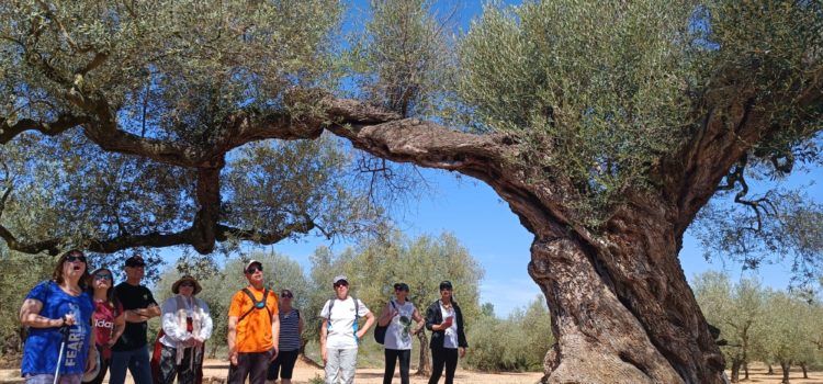 La programació de ‘L’ESTIU Cultural’ de Canet lo Roig registra una bona participació