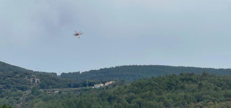Incendios de vegetación por posible caída de rayo