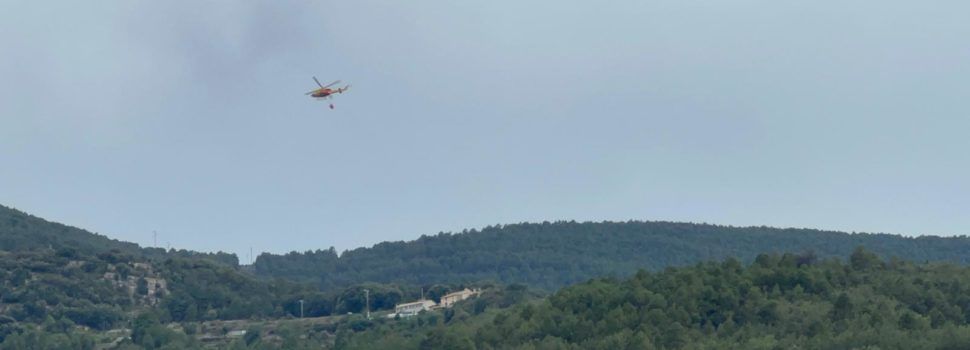 Incendios de vegetación por posible caída de rayo