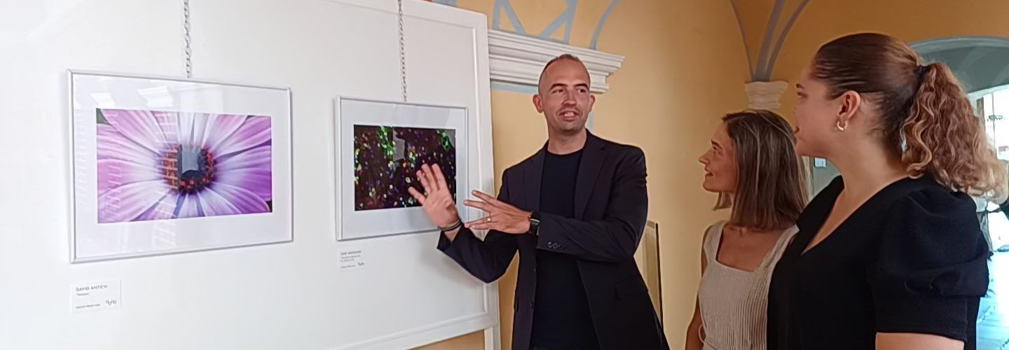 La ciència i l’art s’uneixen al Mucbe amb les millors fotografies del Concurs ‘Imatge i Ciència’