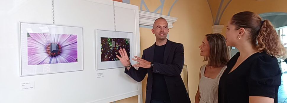La ciència i l’art s’uneixen al Mucbe amb les millors fotografies del Concurs ‘Imatge i Ciència’