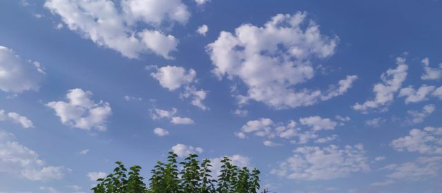 El “parte” del temps: lo parte de l’avorriment