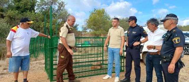 Benicarló instal·larà quatre gàbies-trampa per a controlar la superpoblació de javalins