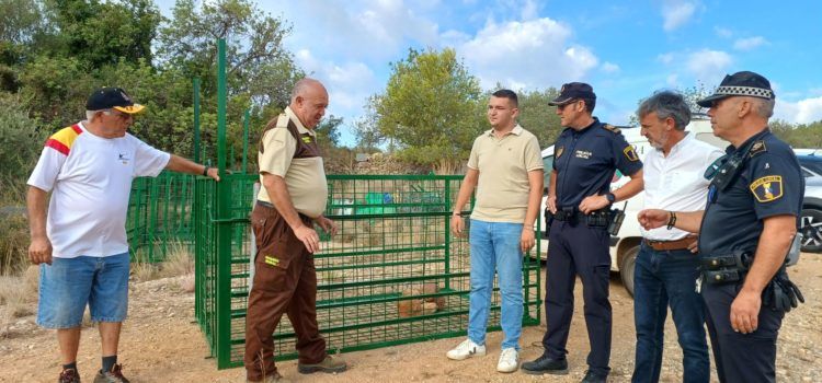 Benicarló instal·larà quatre gàbies-trampa per a controlar la superpoblació de javalins
