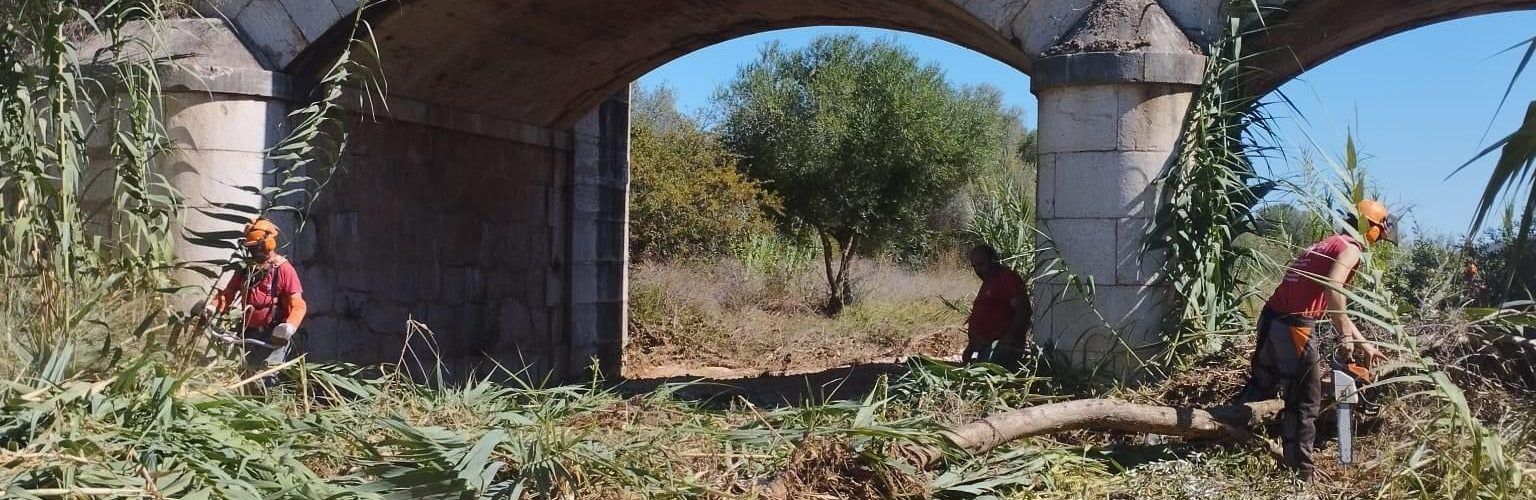 La Taula del Sénia realitza feines de desbrossament al terme municipal de Càlig