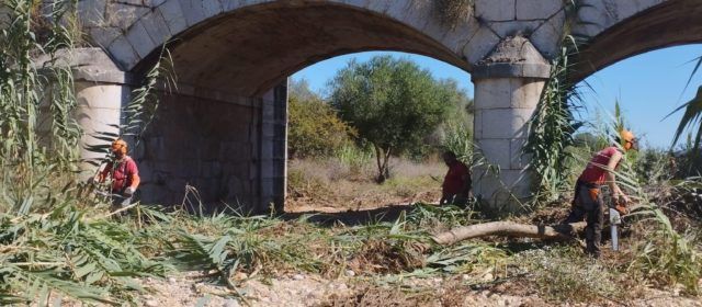 La Taula del Sénia realitza feines de desbrossament al terme municipal de Càlig