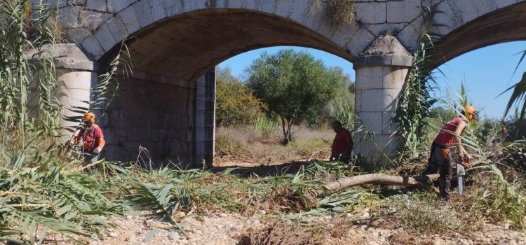 La Taula del Sénia realitza feines de desbrossament al terme municipal de Càlig