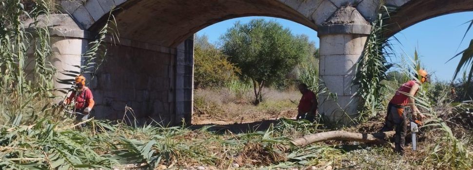 La Taula del Sénia realitza feines de desbrossament al terme municipal de Càlig