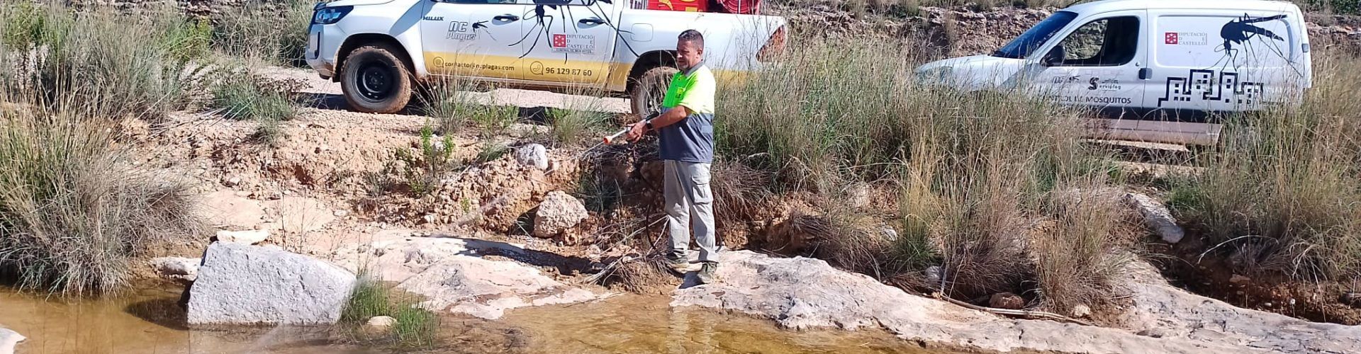 La Diputació ha intensificat els tractaments contra els mosquits