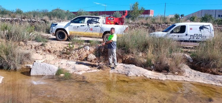 La Diputació ha intensificat els tractaments contra els mosquits