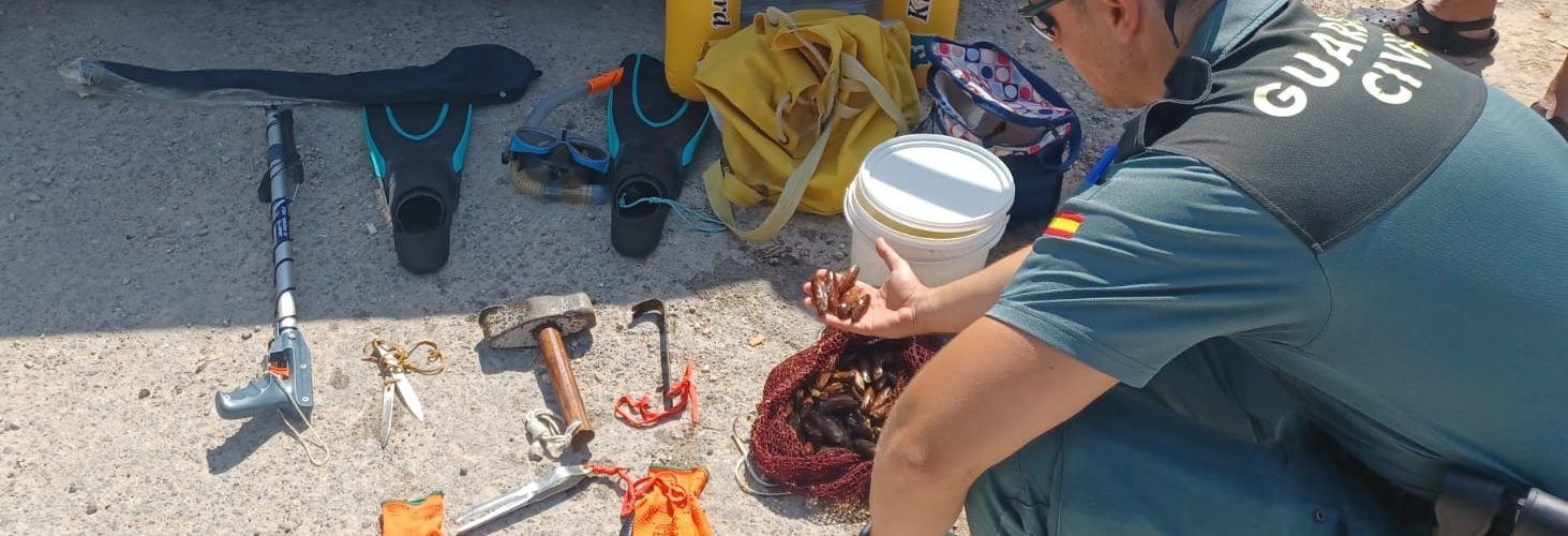 Investigado por pescar dátiles de mar en una playa de Vinaròs