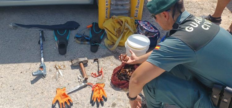 Investigado por pescar dátiles de mar en una playa de Vinaròs