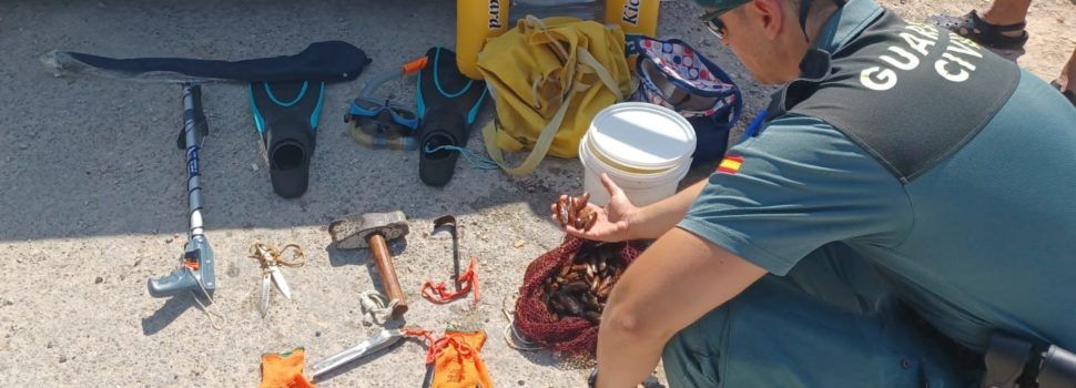 Investigado por pescar dátiles de mar en una playa de Vinaròs