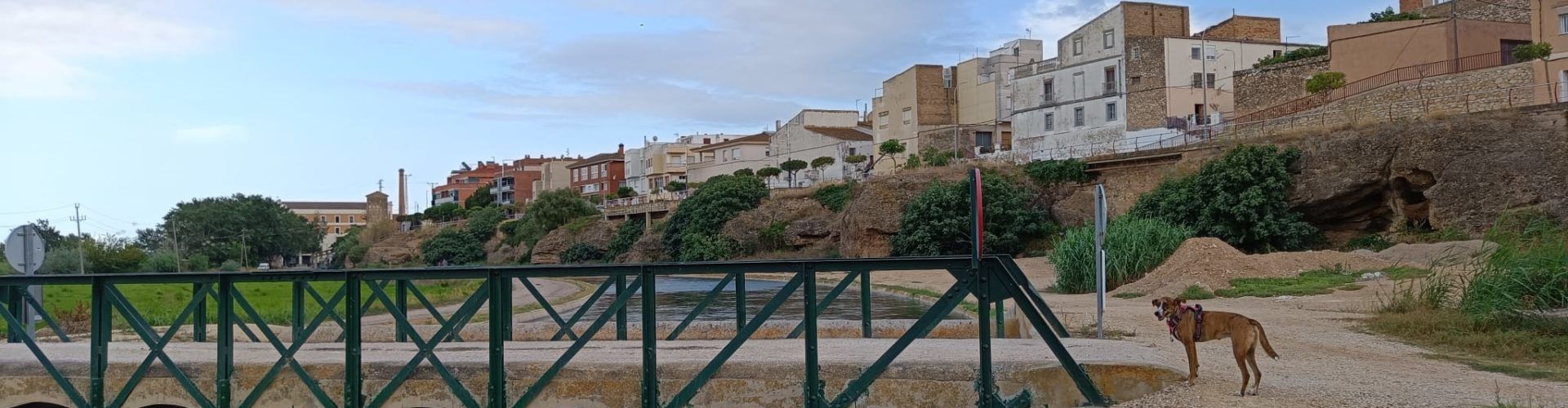 Vora l’Ebre: passeig gràfic pels afores d’Amposta