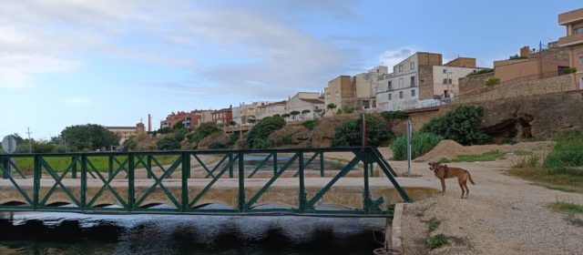 Vora l’Ebre: passeig gràfic pels afores d’Amposta