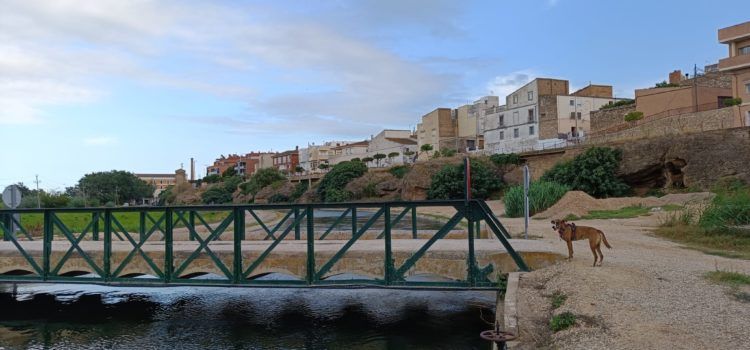 Vora l’Ebre: passeig gràfic pels afores d’Amposta