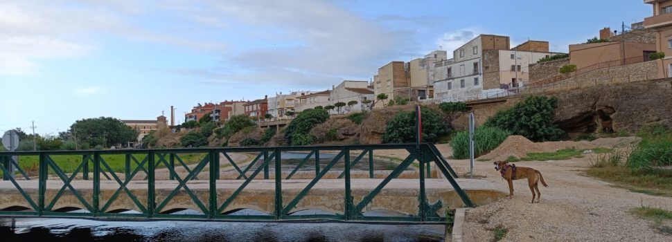 Vora l’Ebre: passeig gràfic pels afores d’Amposta