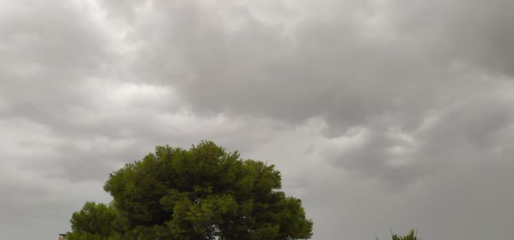 El “parte” del temps: aigua a les nostres patates! I encara pot ploure més