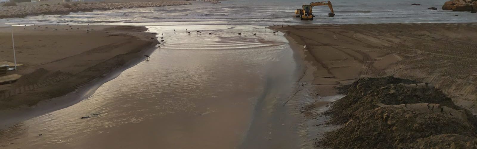 El “parte” del temps: aquesta matinada hem arreplegat 5.6 litres
