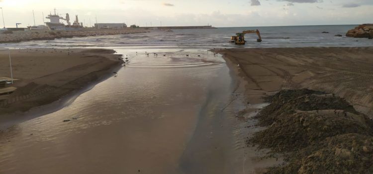 El “parte” del temps: aquesta matinada hem arreplegat 5.6 litres