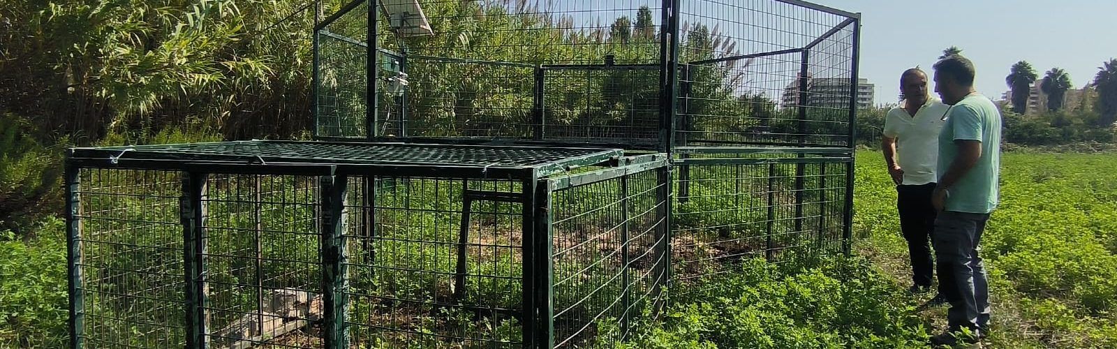 L’Ajuntament de Peníscola instal·la la primera de dues gàbies per al control de la fauna cinegètica