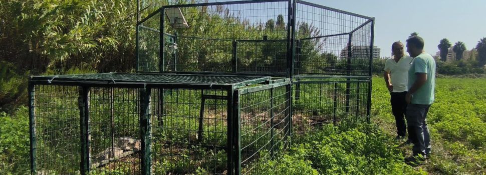 L’Ajuntament de Peníscola instal·la la primera de dues gàbies per al control de la fauna cinegètica