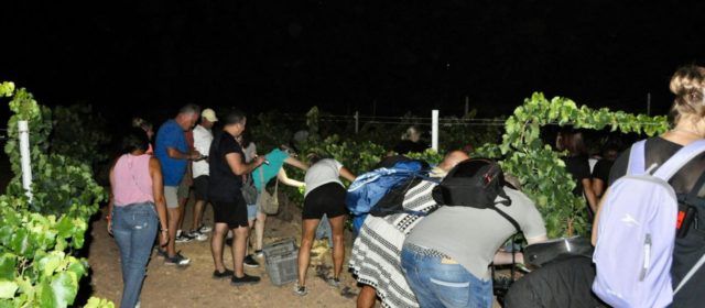 Veremar sota les estrelles a Canet lo Roig