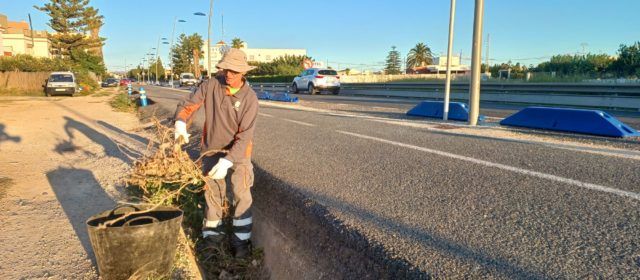 Benicarló contracta un peó agropecuari a través del Pla d’Ocupació de la Diputació